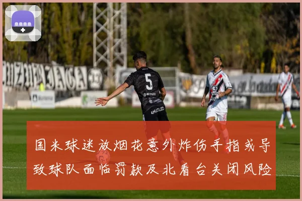 国米球迷放烟花意外炸伤手指或导致球队面临罚款及北看台关闭风险