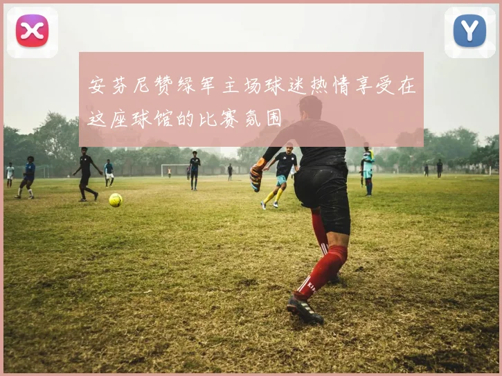 安芬尼赞绿军主场球迷热情享受在这座球馆的比赛氛围