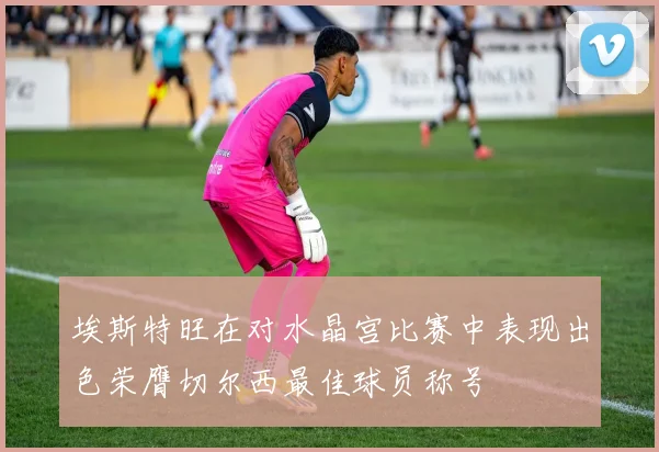 埃斯特旺在对水晶宫比赛中表现出色荣膺切尔西最佳球员称号